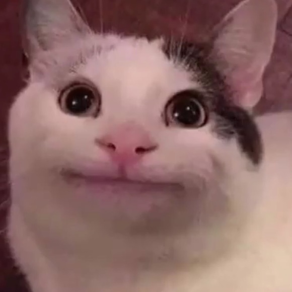 Meet your Posher, Melina - Picture 1 of 1